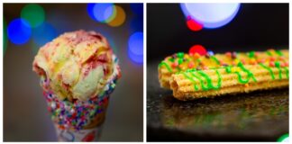 disneyland food scaled