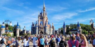 wdw crowds