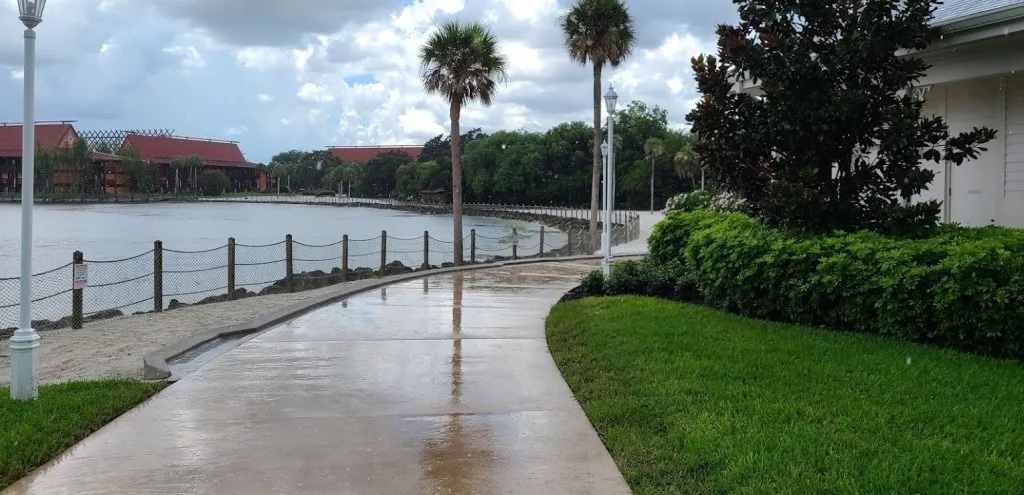 6 Transportation Options To Get Around The Walt Disney World Resort! 6 Disney Paths