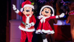 mvmcp