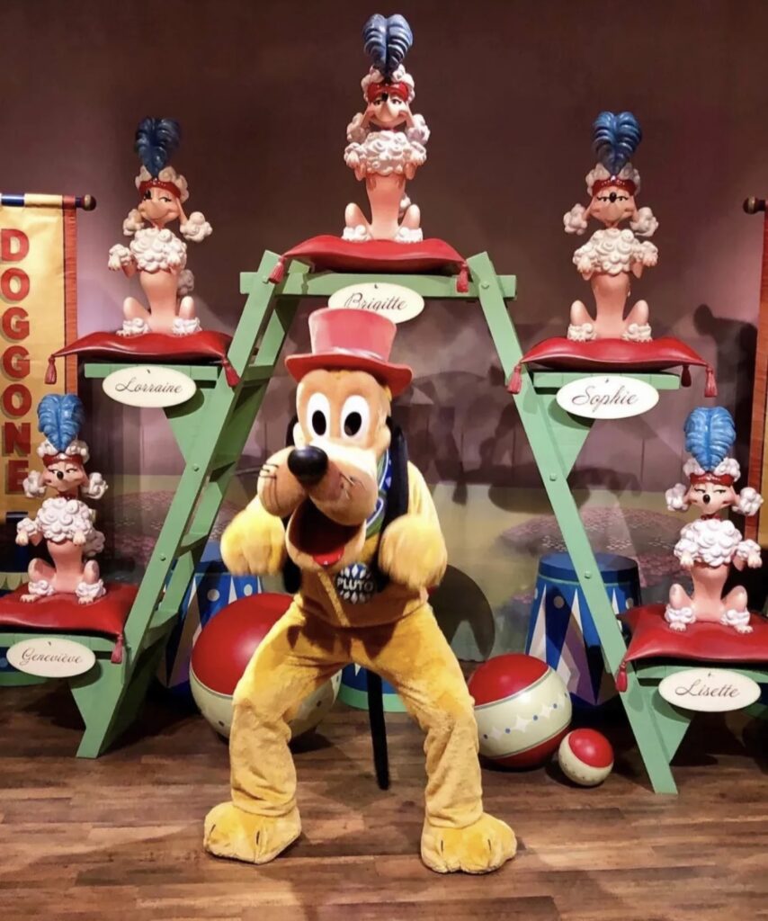 Celebrating Pluto’s Anniversary Week 1 Celebrating Pluto’s Anniversary Week 1