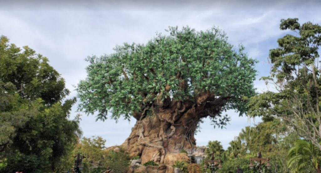 Can you still do a last minute trip to Disney World 2 Can you still do a last minute trip to Disney World 2