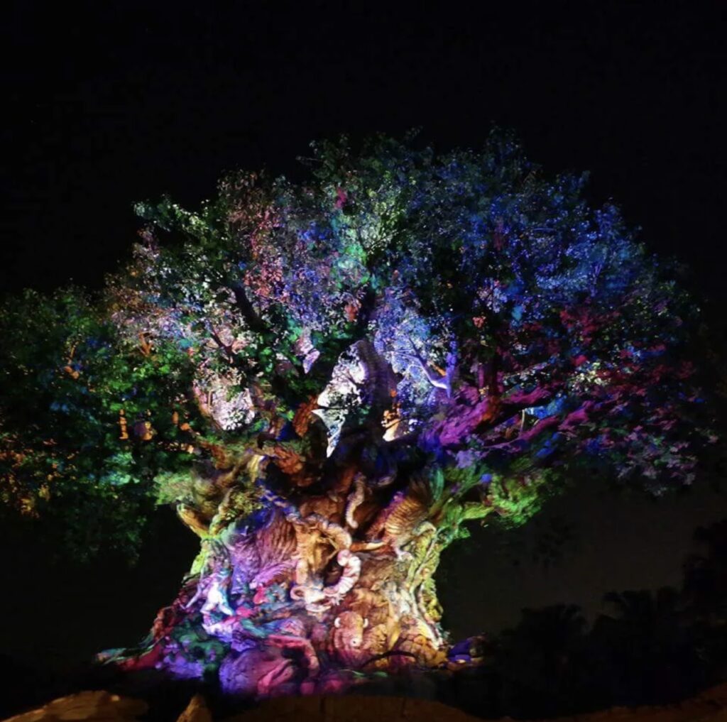 Places to Escape the Crowds at Walt Disney World 5 7FD14AE9 F931 4627 97AE ECBB69ED6144