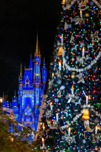 The Magical Holiday Season Has Officially Begun At Walt Disney World! 5 Walt Disney World