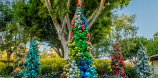 Holiday Magic at Downtown Disney