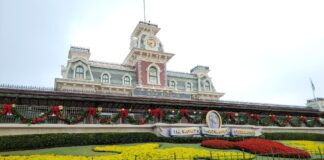 Alcohol in Magic Kingdom
