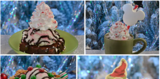 mvmcp treats