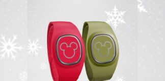 MagicBand+