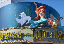 rides and attractions