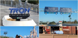 Disney News Round-Up
