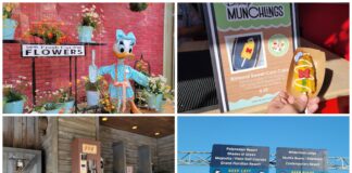 Disney News Round-Up