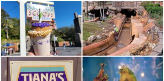 Disney News Round-Up