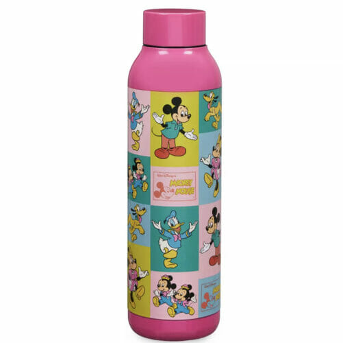 Top 10 Items To Pack For Your Disney Vacation! 4 Disney Vacation