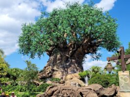 Animal Kingdom