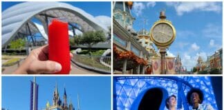Disney News Highlights
