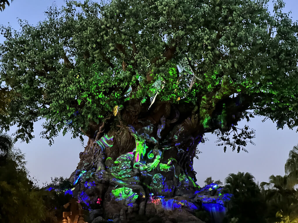 Orlando International Airport vs Orlando Sanford International Airport: Which One Is Right For Me? 1 Airport Cover Tree of Life