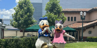 walt disney world walking cover