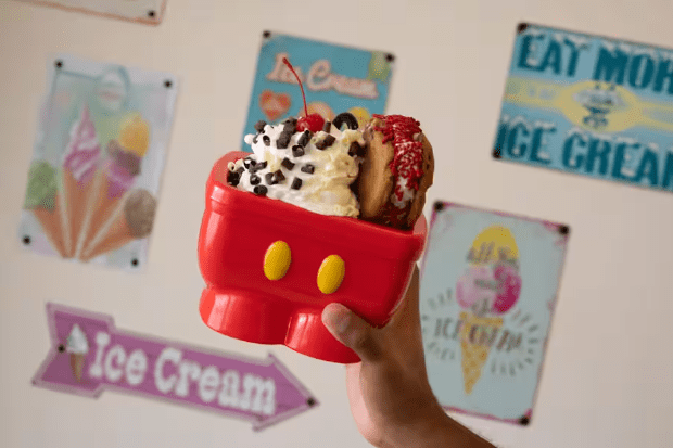 Top 7 Ice Cream Spots at Walt Disney World 5 kitchen sink