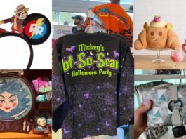 Disney Merchandise Collections