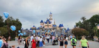 IMG 7001