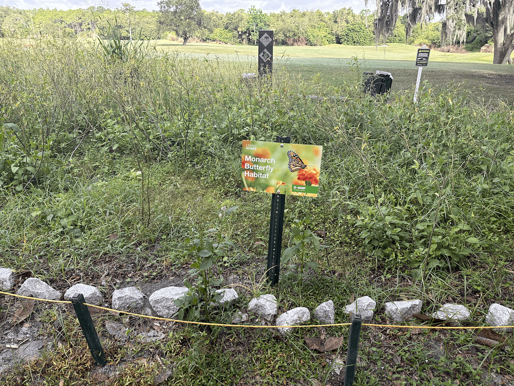 Did You Know Disney's Oak Trail Golf Course Contains a Monarch Butterfly Habitat? 1 oak trail golf course butterfly habitat cover