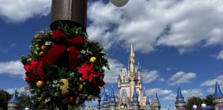 Magic Kingdom Christmas Wreath