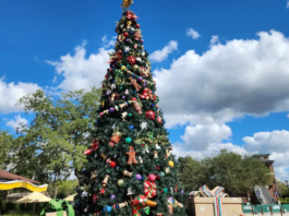 Disney Springs