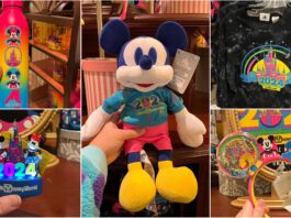 2024 Disney World Collection