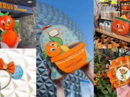 Orange Bird
