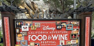 Disney California Adventure