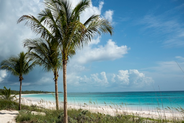 Disney's Newest Paradise: Unveiling Lookout Cay at Lighthouse Point 2 beach