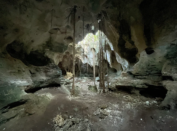 Unveiling the Treasures of Disney's Lookout Cay 4 caves