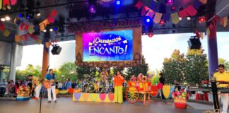 celebracion encanto epcot cover