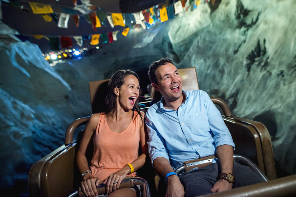 Unveiling the Secrets of Expedition Everest: 5 Thrilling Facts 4 track