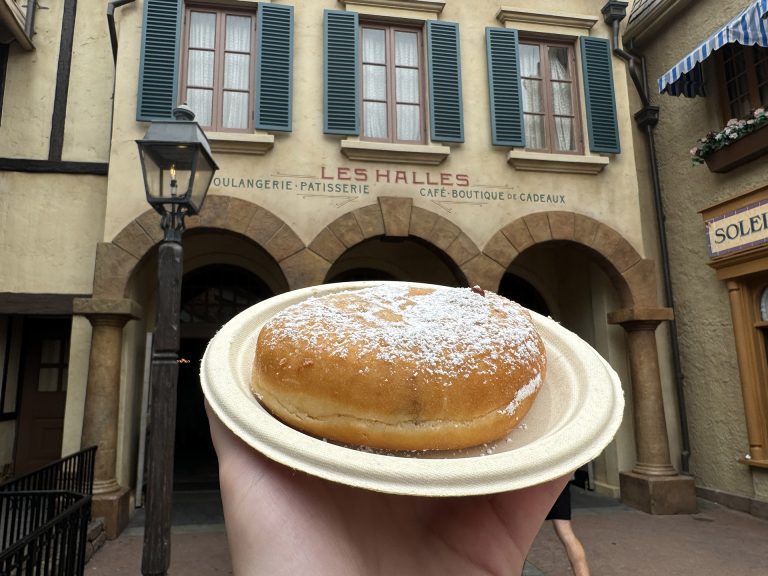 Beignet Bonanza: A Delicious Guide to Disney World's Sweet Treats 5 beneigss