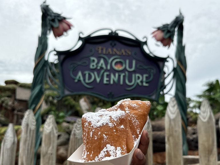 Beignet Bonanza: A Delicious Guide to Disney World's Sweet Treats 6 bengits