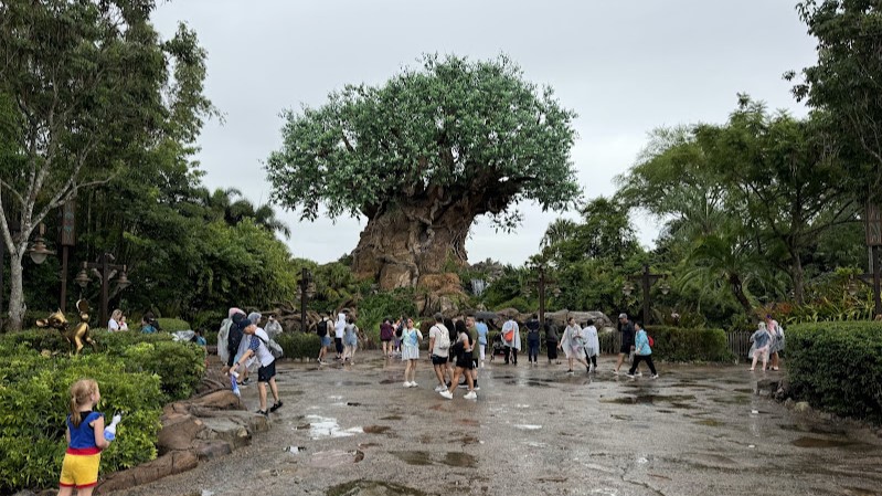 Disney World: All Magic Comes with a Price 2 animal kingdom