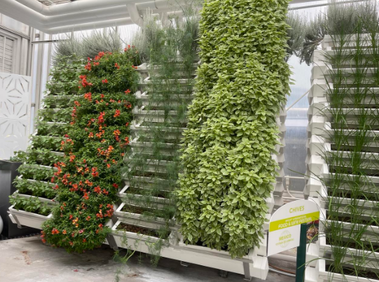 5 Things You Didn't Know About Living with the Land 2 land garden