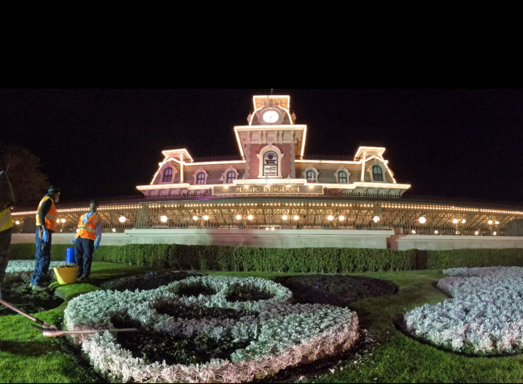 Learn about the Local Business that Brings the Flowers to Bloom at Disney World 6 Disney World