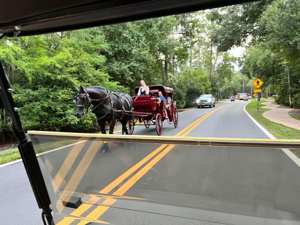 Spend a Non Park Day at Disney's Fort Wilderness Resort 17 ft4