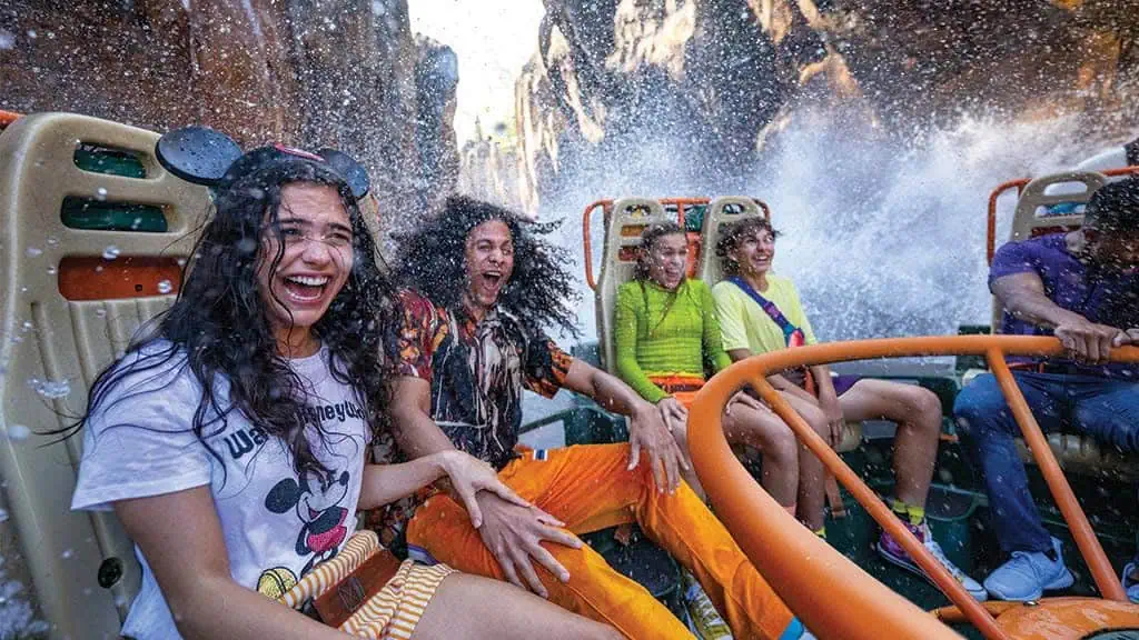 Roundup of all Walt Disney World Offers for 2025 3 Roundup of all Walt Disney World Offers for 2025 2
