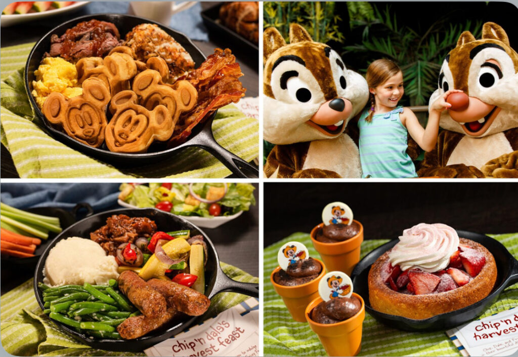Dig In! The Ultimate Guide to Disney World Buffets and Family Style Feasts! 7 Guide to Disney World Buffets