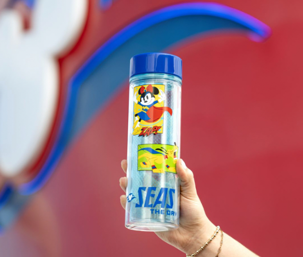 Set Sail with Style: Discover the Exclusive Disney Destiny Merchandise Collections! 13 Disney Destiny Merchandise Collections