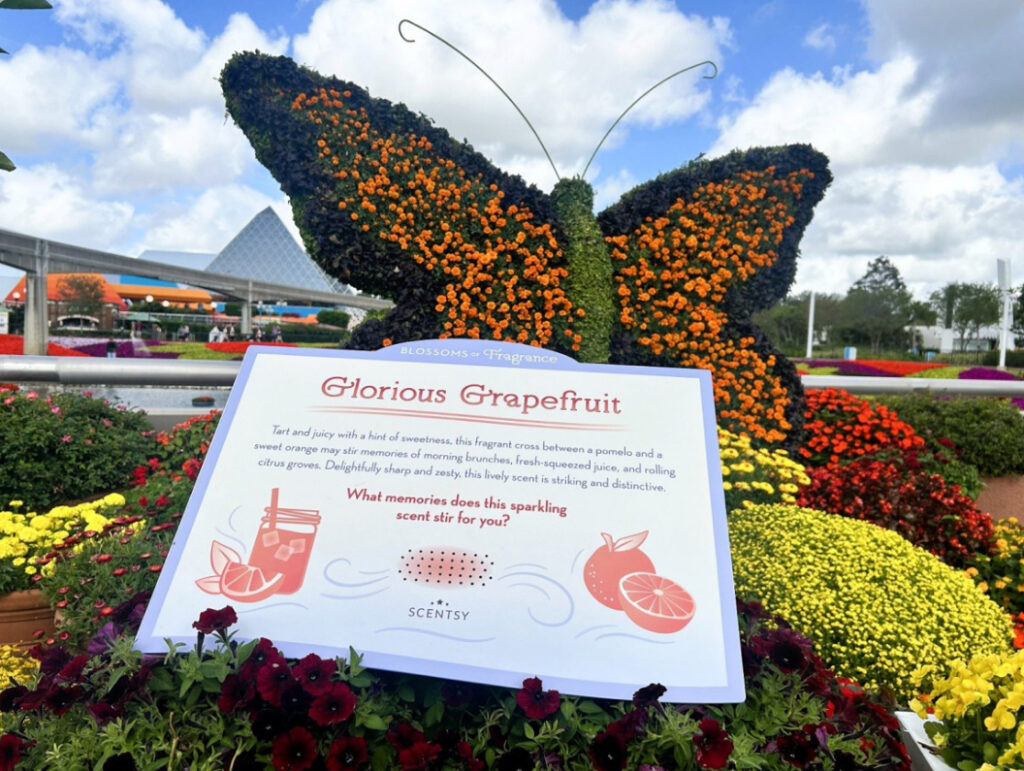 Sniff, Smile, and Remember: Scentsy at EPCOT's Flower and Garden Festival! 4 Scentsy
