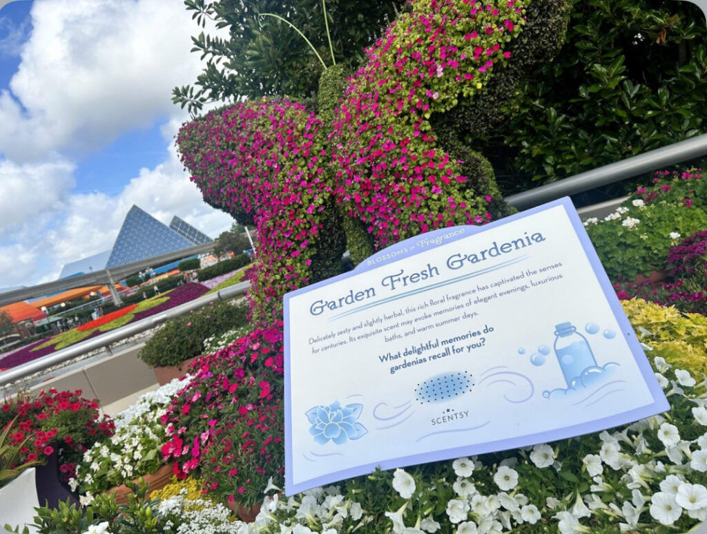 Sniff, Smile, and Remember: Scentsy at EPCOT's Flower and Garden Festival! 5 Scentsy