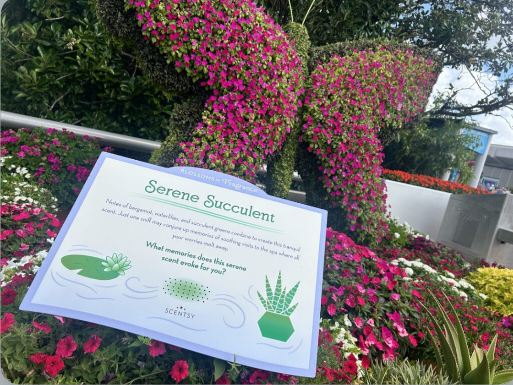 Sniff, Smile, and Remember: Scentsy at EPCOT's Flower and Garden Festival! 6 Scentsy