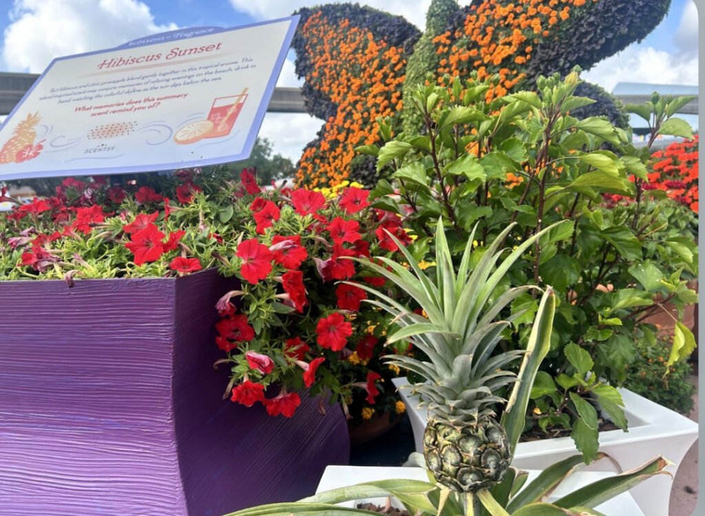 Sniff, Smile, and Remember: Scentsy at EPCOT's Flower and Garden Festival! 7 Scentsy
