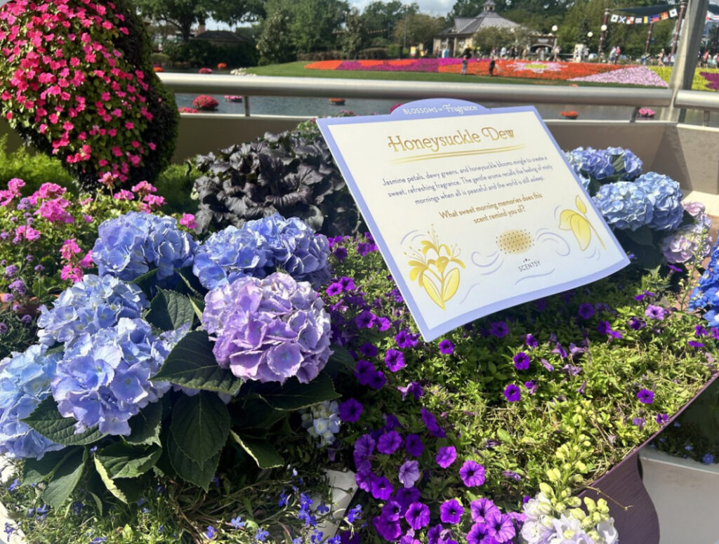 Sniff, Smile, and Remember: Scentsy at EPCOT's Flower and Garden Festival! 8 Scentsy