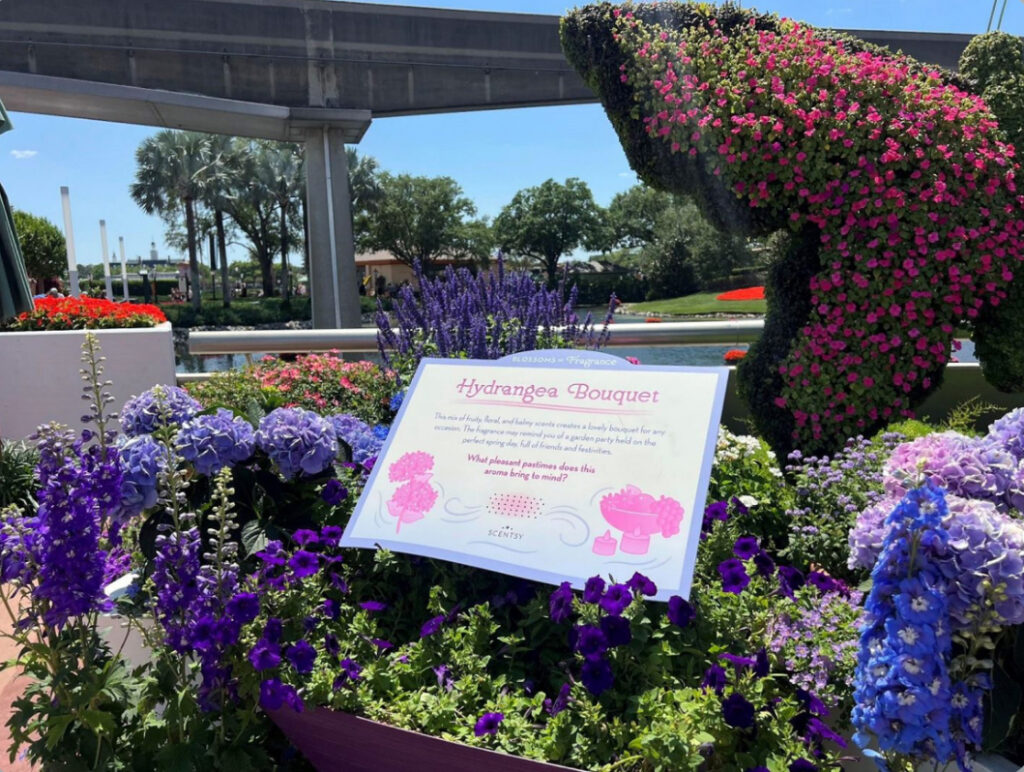 Sniff, Smile, and Remember: Scentsy at EPCOT's Flower and Garden Festival! 9 Scentsy