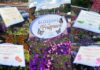 Scentsy